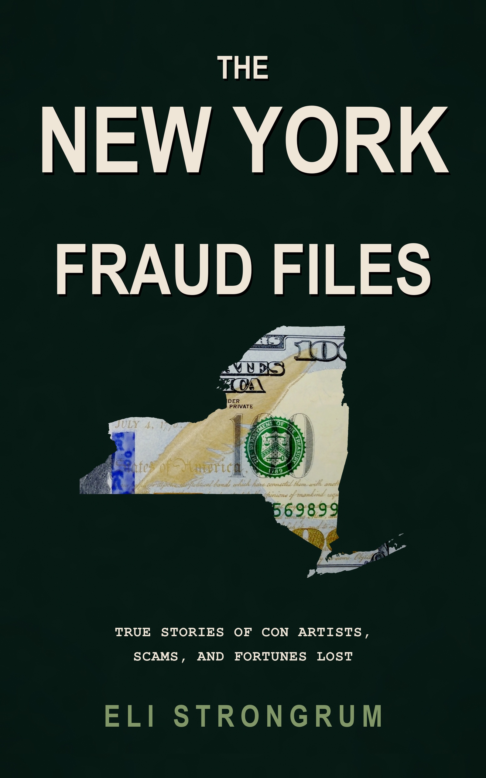 The New York Fraud Files by Eli Strongrum, book cover